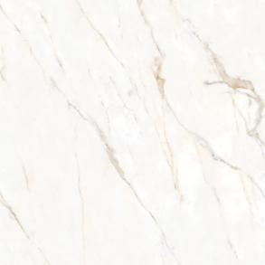 Calacatta Oro Honed, Polished - porcelain tile